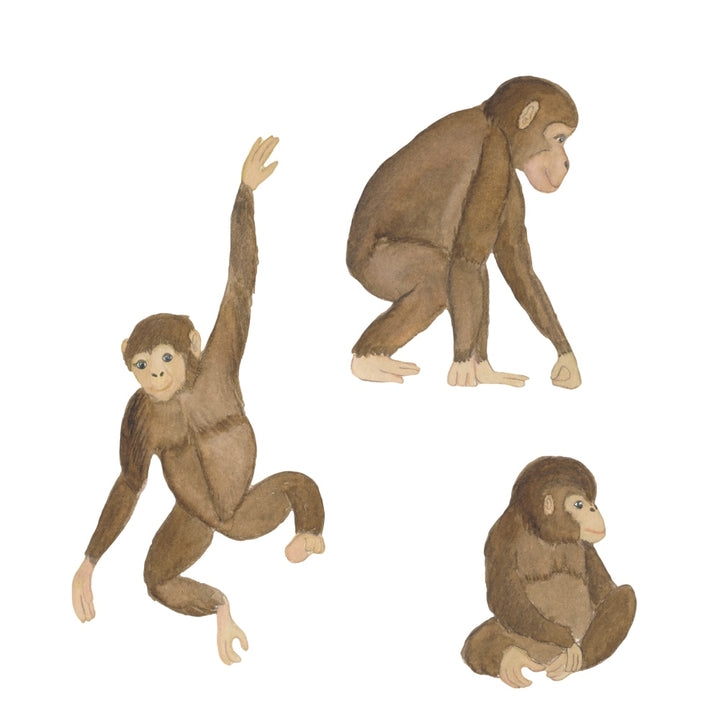 Wallsticker Monkeys - Multi