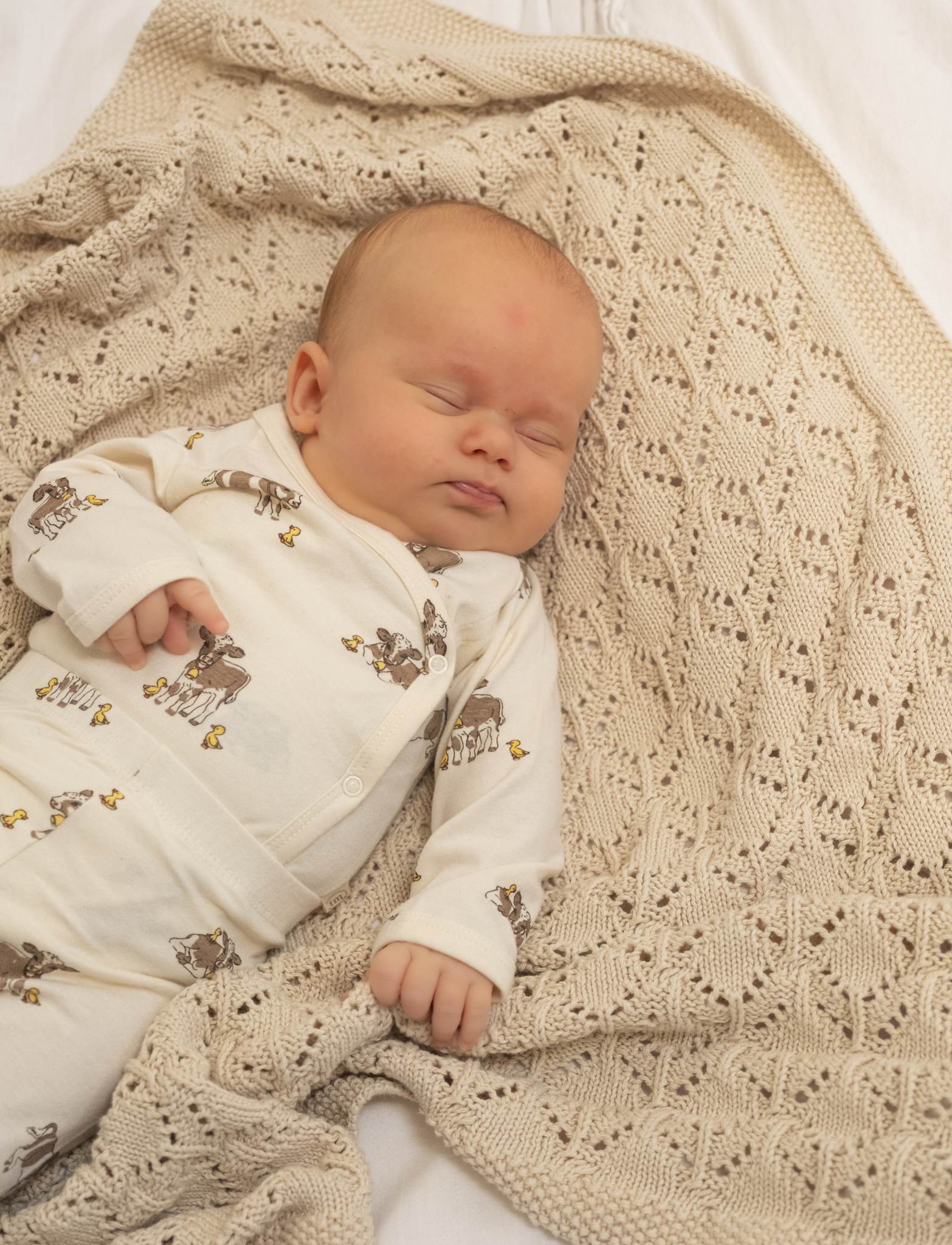 That's Mine Kala strikket tæppe - Birch - 100% Bomuld(Økologisk) Buy Sovetid||Alle||Favoritter||personale||Baby essentials||alt minus sløjfe||NOOS||Plaid||Strikkede tæpper||mette-sale||Orderly Emails - Recommended Products||Bestsellers||Sengetøj og Soveposer here.